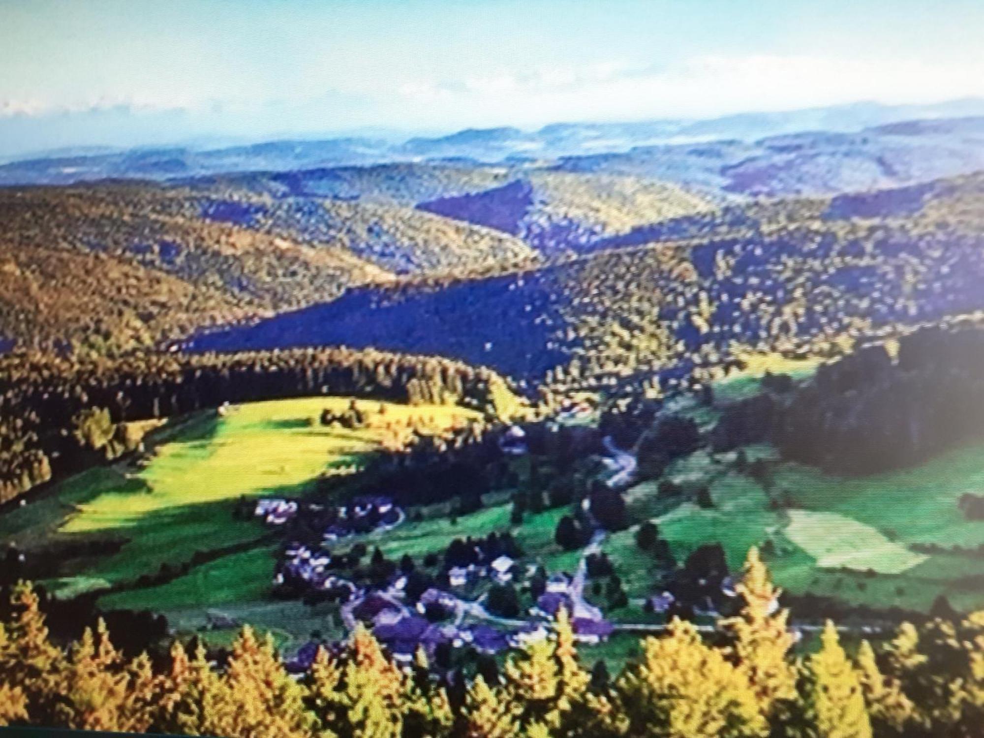 Apartmán Beale Todtmoos Exteriér fotografie